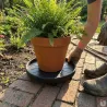 Roule-pot 30 cm pour plantes - Déplacement facile