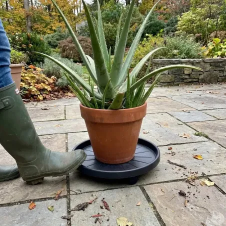 Roule-pot 30 cm pour plantes - Déplacement facile