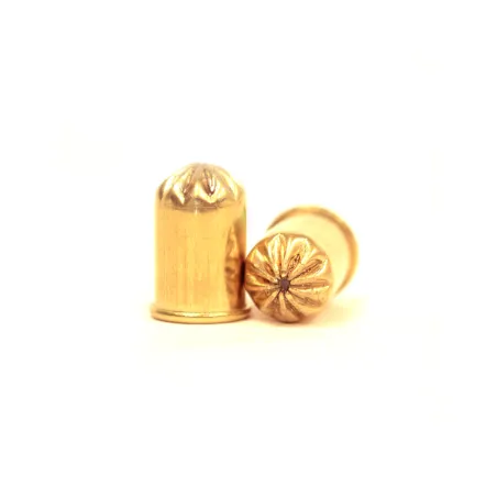 Lot de 10 cartouches pour fusil anti-taupes