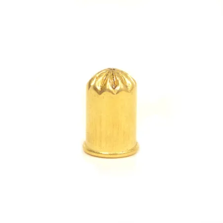 Lot de 10 cartouches pour fusil anti-taupes
