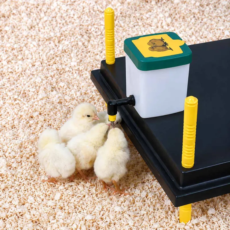 Abreuvoir pipette 1L pour poussins et cailles - Fixation cage