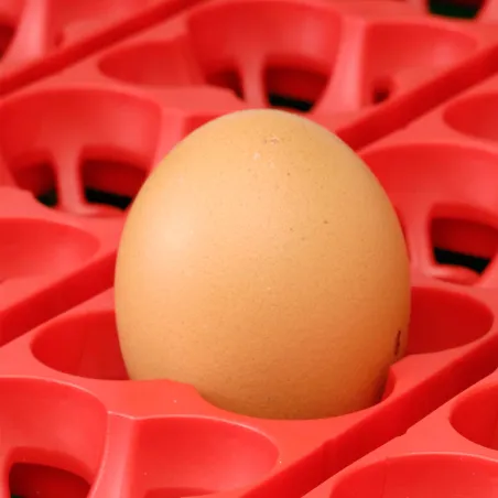 Couveuse 24 œufs Biomaster Egg Tech 24 automatique