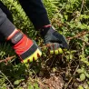 Gants anti-coupure Cerbère cuir EN 388 classe 3131x