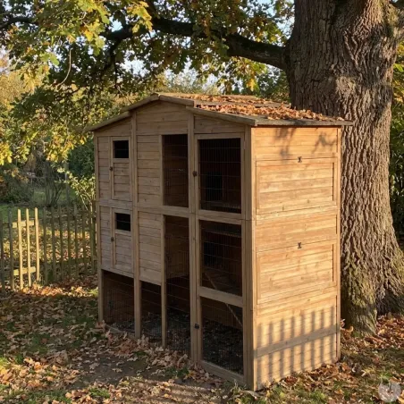 Poulailler bois 2 niveaux 10-15 poules 222x115x200 cm