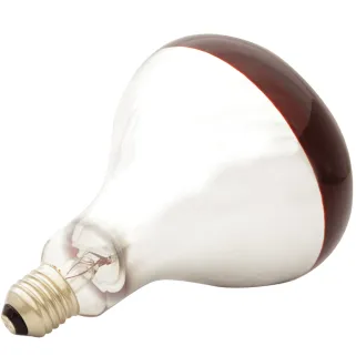 Ampoule infrarouge 60W pour éleveuse de volailles