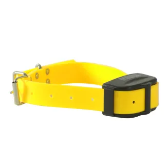 Collier vert pour clôture électrique télécommandée
