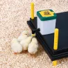 Abreuvoir pipette 0,5L pour poussins et cailles Olba