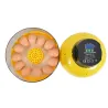 Kit couveuse manuelle 12 œufs + mire-œuf pour élevage