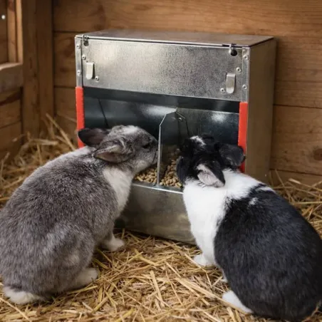 Mangeoires lapins trémie 2 cases - Lot de 10 en acier