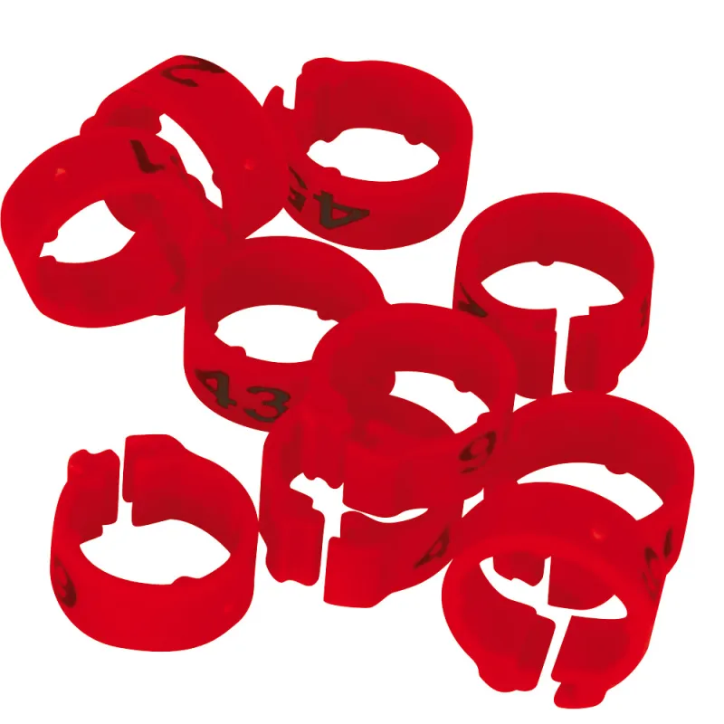 Bagues pigeon numérotées 1-25 rouge - Marquage laser indélébile