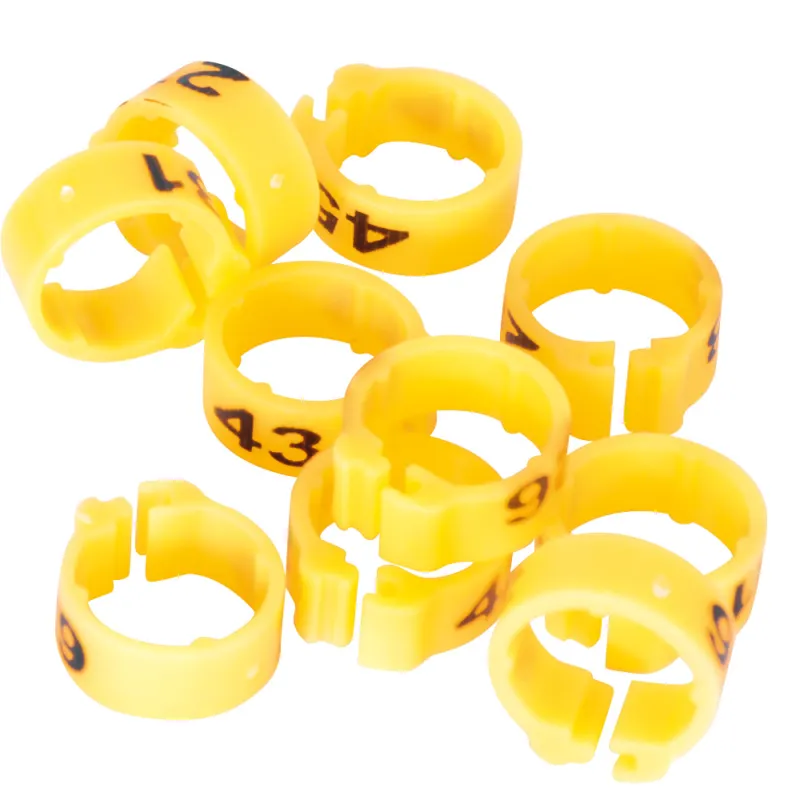 Bagues pigeon numérotées 1-25 jaune - Marquage laser indélébile