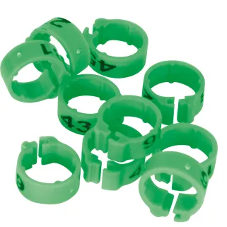 Bagues pigeon vert numérotées 1-25 - Marquage laser indélébile