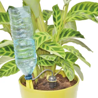 Kit goutte-à-goutte bouteille - Arrosage éco et précis