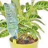 Kit goutte-à-goutte bouteille - Arrosage éco et précis