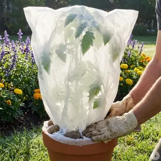 Couverture non tissée 1x1,5m pour protéger vos plantes