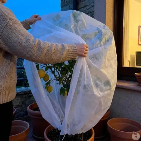 Couverture non tissée 1x1,5m pour protéger vos plantes