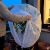 Couverture non tissée 1x1,5m pour protéger vos plantes