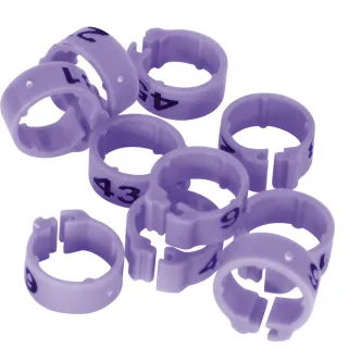 Bagues pigeon laser indélébiles numérotées 1-25 violet