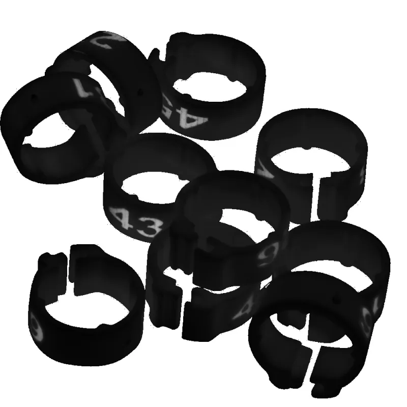 Bagues pigeon numérotées 1-25 noir marquage laser indélébile