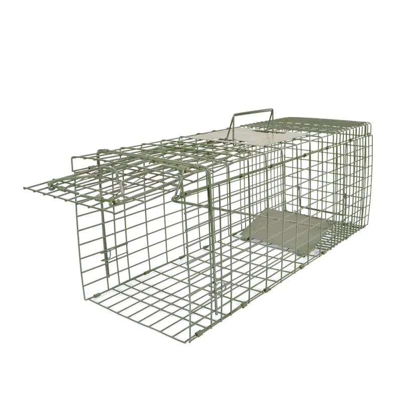 Piège à appâts pliable 66 cm - capture vivante