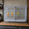 Cage d'élevage pour canaris empilable 60x27x40 cm