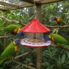Mangeoire volière plastique 2kg - 3 sucriers anti-oiseaux