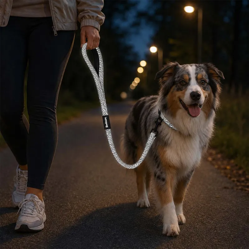Laisse chien réfléchissante 100 cm - Gris sécurité
