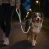 Laisse chien réfléchissante 100 cm - Gris sécurité