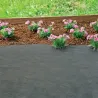 Feutre de paillage naturel - Rouleau de 2m