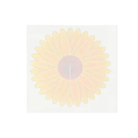 Lot de 4 pièges à mouches adhésifs écologiques 9,5x9,5cm