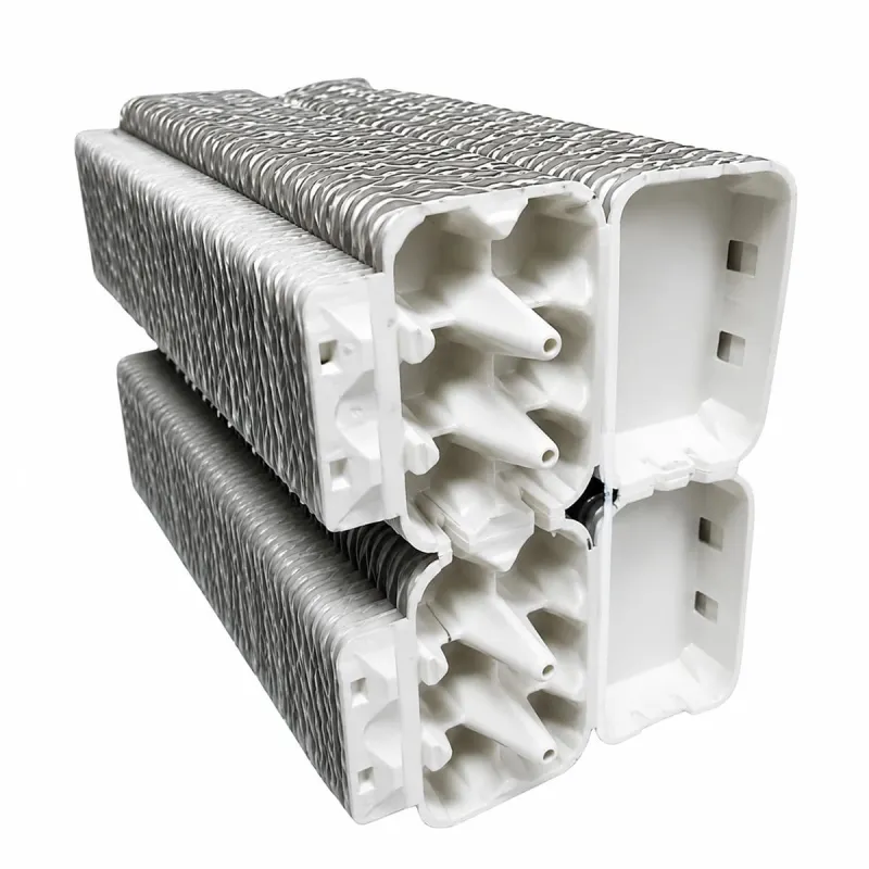 Boîtes à œufs carton 2x6 - Lot de 124 pièces premium