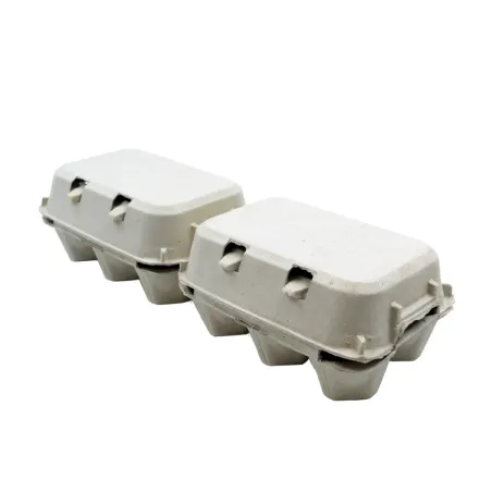 Boîtes à œufs carton 2x6 - Lot de 124 pièces premium