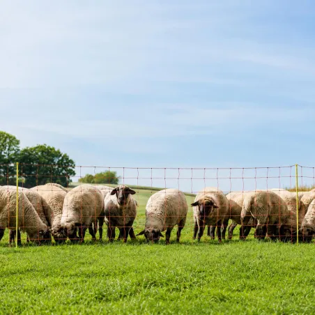 Filet électrifiable pour moutons - 0,90 m x 50 m