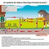 Filet électrifiable pour moutons - 0,90 m x 50 m