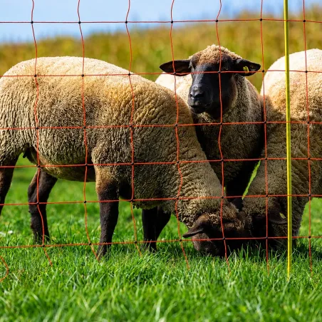 Filet électrifiable pour moutons - 0,90 m x 50 m