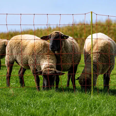Filet électrifiable pour moutons - 0,90 m x 50 m