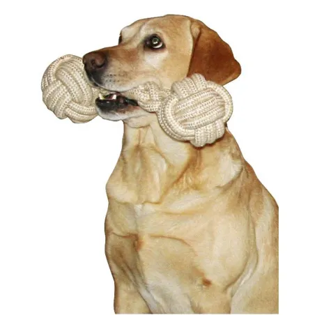 Os en corde 40 cm pour chien - Jouet résistant