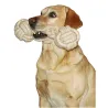Os en corde pour chien - 25 cm - Jouet résistant