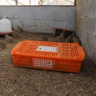 Cage transport volailles 67x45x15 cm - Confort & Sécurité