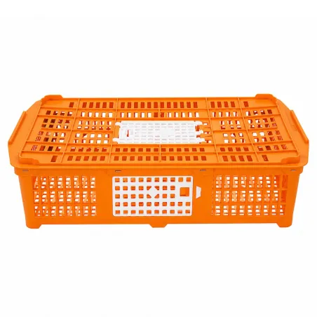 Cage transport volailles 67x45x15 cm - Confort & Sécurité