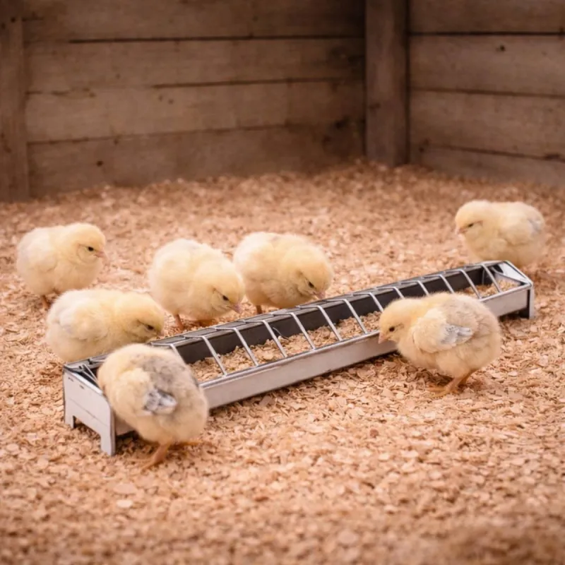 Mangeoire métal 50 cm pour poussins avec couvercle grillagé