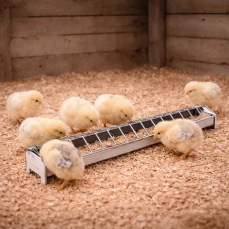 Mangeoire métal 50 cm pour poussins avec couvercle grillagé