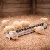 Mangeoire métal 50 cm pour poussins avec couvercle grillagé