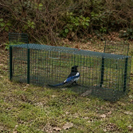 Piège à pies 3 compartiments - Maille 30x30x90 cm efficace