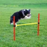 Kit agilité chien 3-en-1 : anneau, barre et slalom réglables