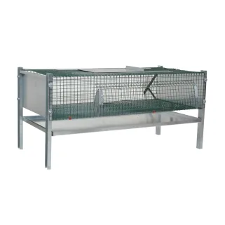 Cage d'engraissement galvanisée pour 50-60 cailles ou poussins