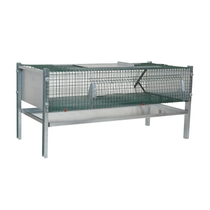 Cage d'engraissement galvanisée pour 50-60 cailles ou poussins