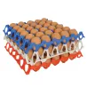 Plateaux œufs empilables 30x30 cm - Lot de 10 - Alimentaire