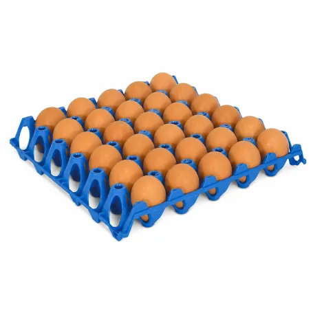 Plateau œufs empilable 30x30 cm - plastique alimentaire