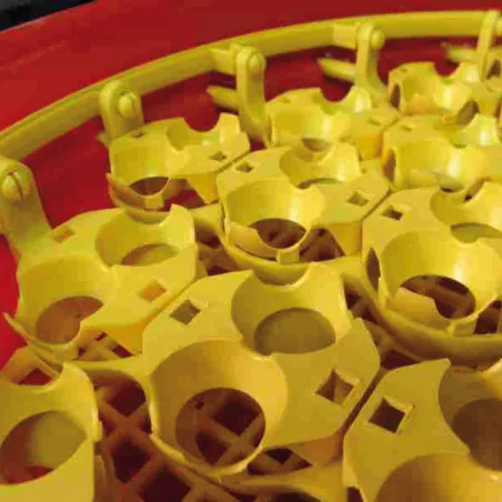 Adaptateurs pour œufs de caille - Lot de 51 pièces